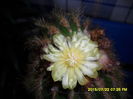 SAM_0702