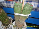 SAM_0704