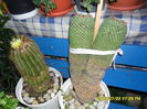 SAM_0705
