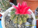 SAM_0734