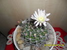 SAM_0771