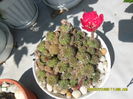 SAM_0783