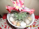 SAM_0657