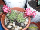 SAM_0708