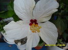 SAM_0709