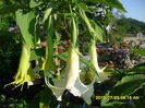 SAM_0717