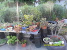 SAM_0720