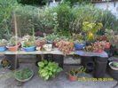 SAM_0721