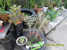 SAM_0722
