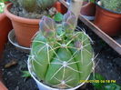 SAM_0729