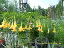 SAM_0757
