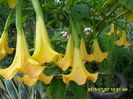 SAM_0760