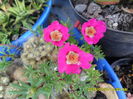 SAM_0763