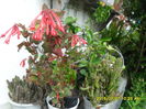 SAM_0764