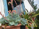 SAM_0765