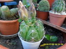 SAM_0777