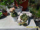 SAM_0778