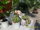 SAM_0779