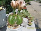 SAM_0780