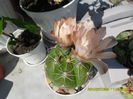 SAM_0781