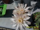 SAM_0784