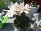 SAM_0786