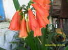 SAM_0789