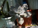 SAM_0791