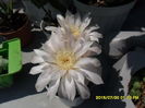SAM_0797