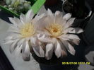 SAM_0801