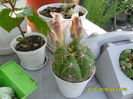SAM_0802