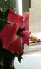 IMG-20150802-WA0013