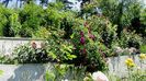 DSC03168