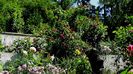 DSC03171