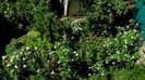 DSC03179