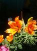 20150607_121850