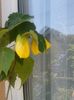 20150607_122003