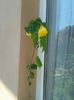 20150607_122022