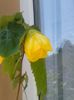 20150607_122035
