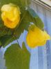 20150607_122052