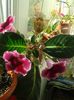 20150608_073247