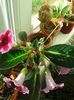 20150608_073301