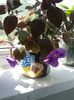 20150608_144119