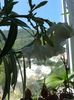 20150608_144244