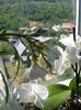 20150608_144303