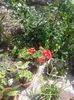 20150628_115345