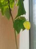 20150628_115427