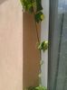 20150628_115437