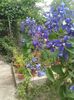 20150628_115502