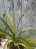 20150628_115524